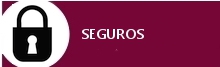 Seguros